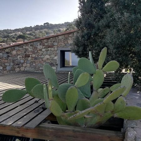 Clos Olivella Монтічелло Екстер'єр фото